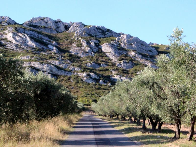L'Excellence - Les Chemins de Provence - Panier gourmand