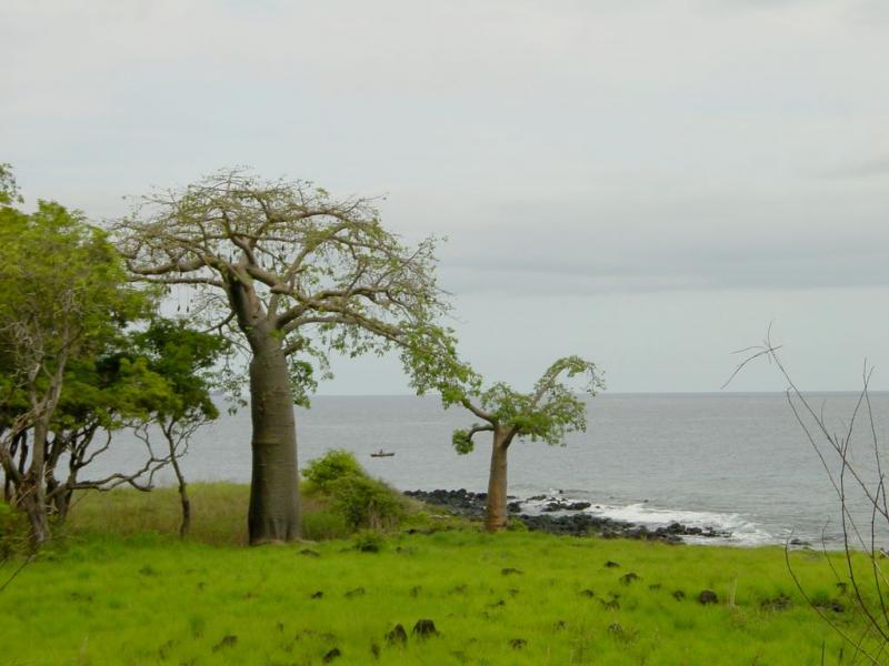 Paysage côtier, Sao Tomé