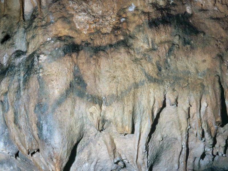 Grotte de Font de Gaume © Philippe Jugie / Centre des Monuments Nationaux