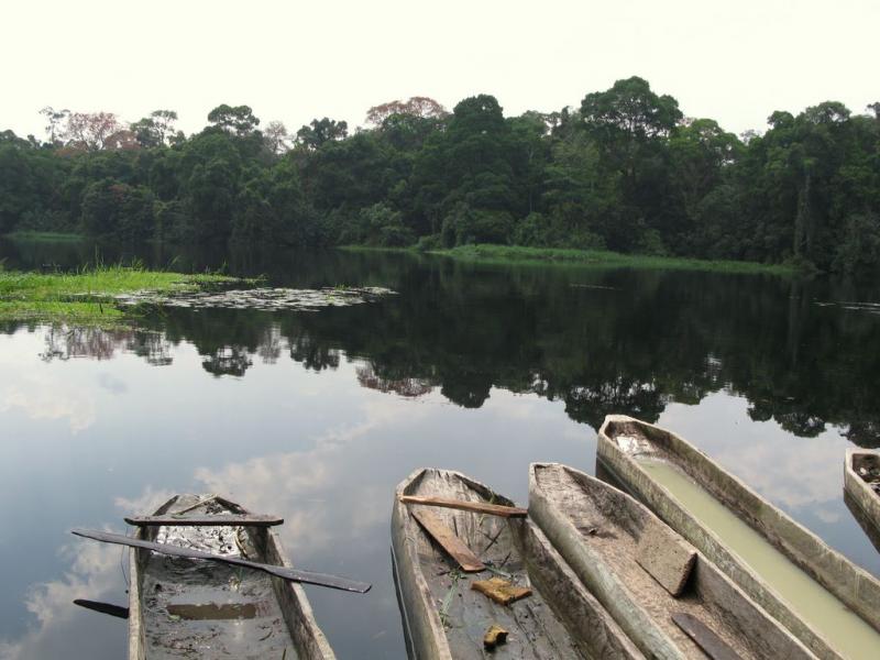 Rive du Nyong, Ebogo, Cameroun