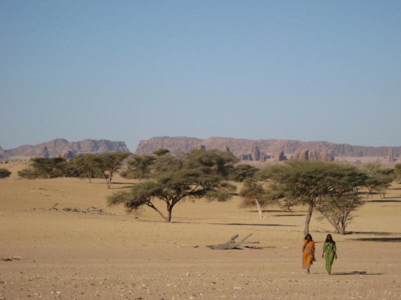 Paysage de l'Ennedi, Tchad