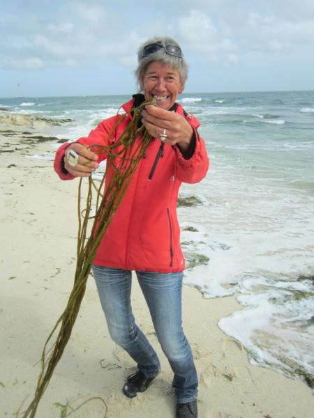 Anne Jacob, guide-littoral, pendant une visite-découverte des algues, Morbihan, France