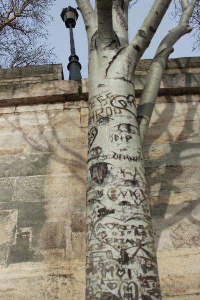 Arbre graffité par des amoureux, quais de Seine, Paris