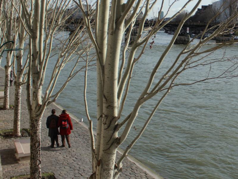 Amoureux sur les quais de Seine, Paris