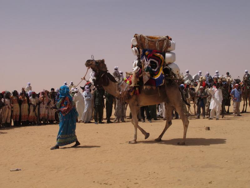 Chameliers, Festival des cultures sahariennes, Fada, Tchad