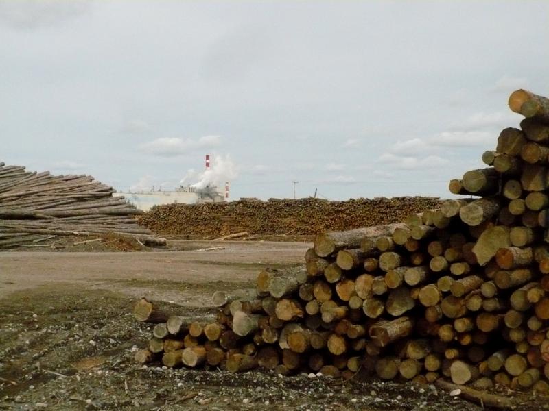Exploitation forestière, Abitibi, Québec